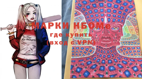 стаф Волосово